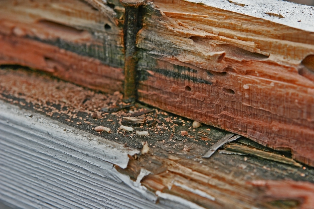 prevention is far cheaper than repairs