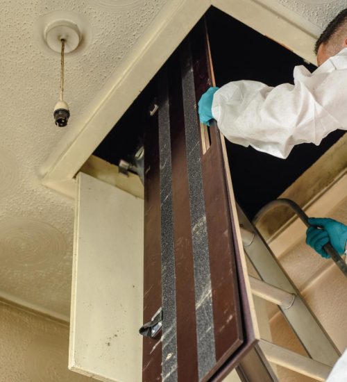 Equipped man climbing a ladder for pest inspection in Lake Macquarie